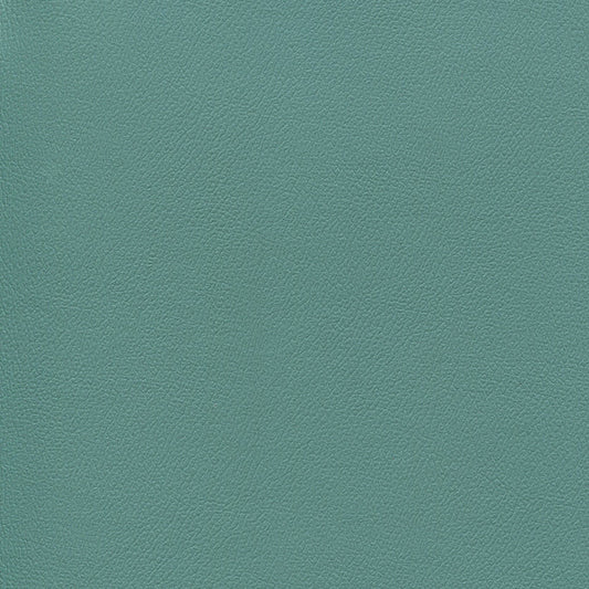 NICHOLASJOHN INC NJ-ERIKA Frog Prince Solid   Fabric - NJ25-1712