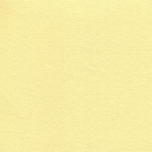 NICHOLASJOHN INC NJ-ERIKA Sunny Disposition Solid   Fabric - NJ25-1720