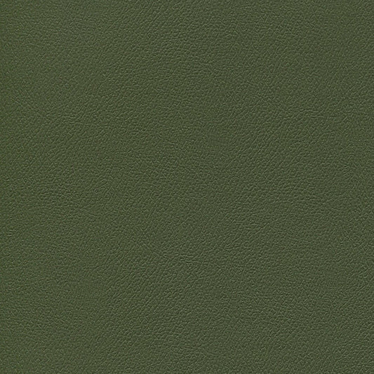 NICHOLASJOHN INC NJ-ERIKA Thyme Is Money Solid   Fabric - NJ25-1721