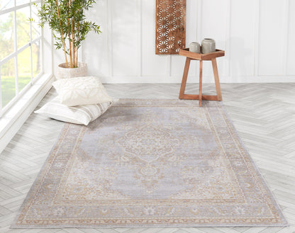 Gray Persian-inspired area rug with beige border in a bright room; cushions and plant nearby.