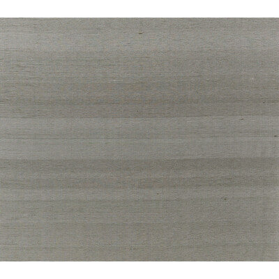 BRUNSCHWIG & FILS  TEXTURE GREY,GREY,   - JAG-50052.21.0