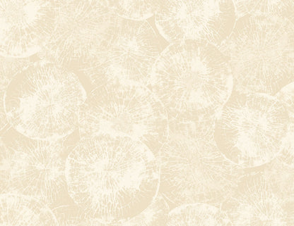 Seabrook Designs Japandi Style Eren Abstract Rustic Beige Matte  - JP10705