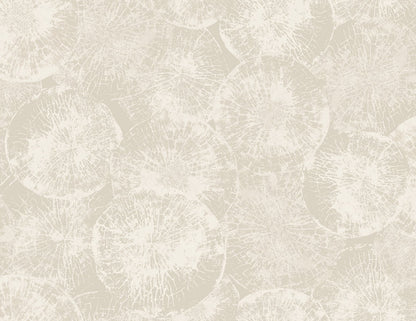 Seabrook Designs Japandi Style Eren Abstract Rustic Grey Matte  - JP10707