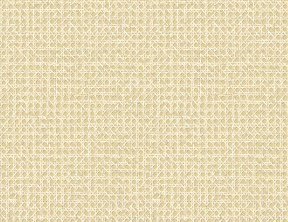 Seabrook Designs Japandi Style Mika Weave Rustic Beige Matte  - JP11203