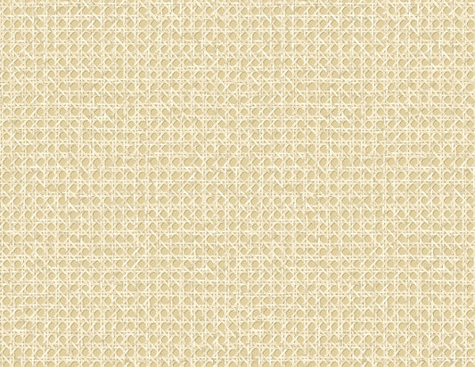 Seabrook Designs Japandi Style Mika Weave Rustic Beige Matte Sidewall - JP11203