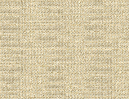 Seabrook Designs Japandi Style Mika Weave Rustic Beige Matte  - JP11205