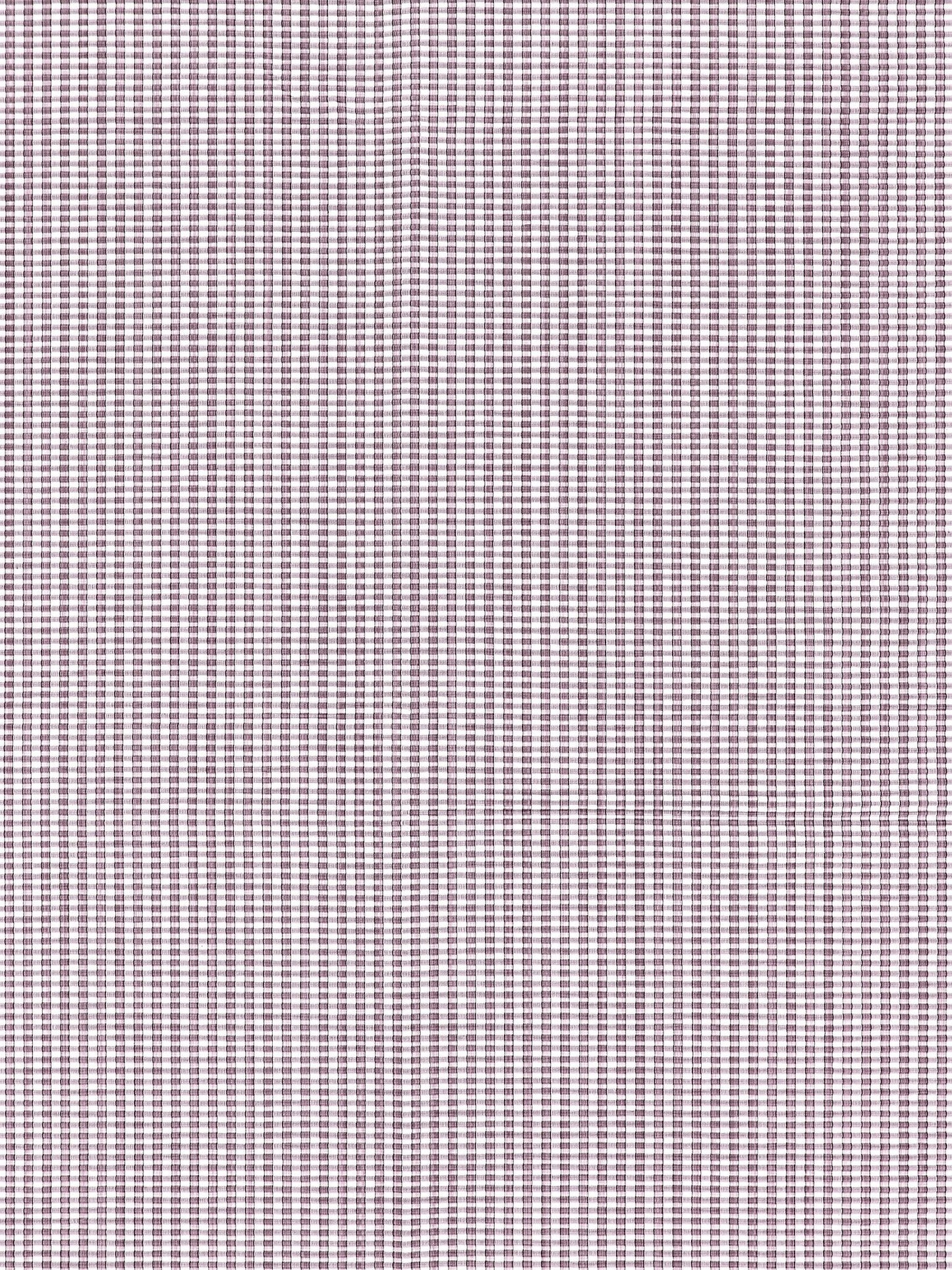 SCALAMANDRE OUTLET  FABRIC MAGPIE  FABRIC GRAPE   - K2 0008B621