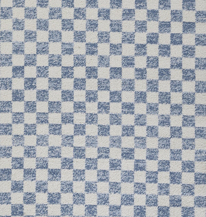 Blue and white checkerboard fabric texture with small woven squares; casual textile for towels, napkins, or accessories.