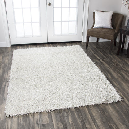 Shag rug, size 5' x 7'.