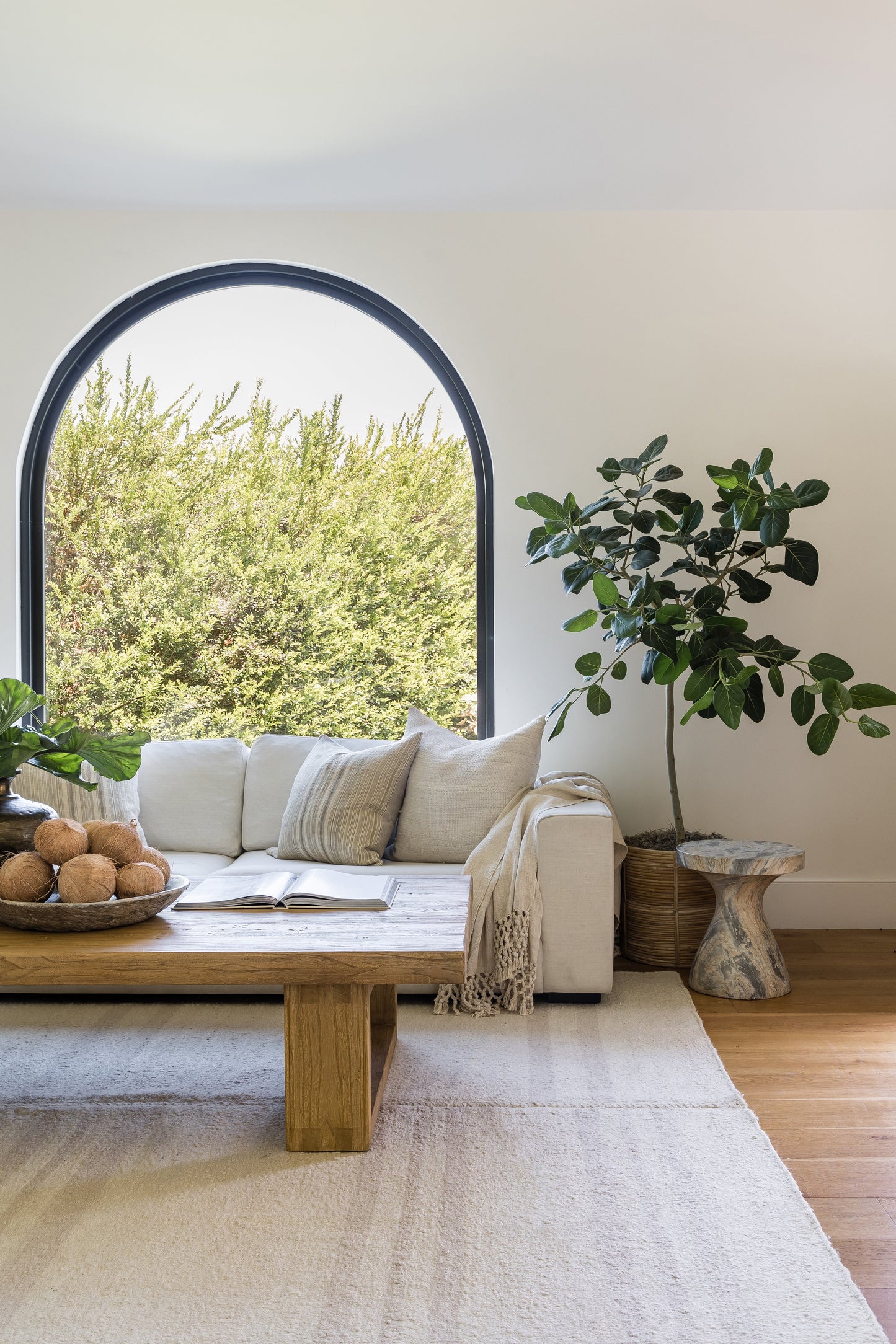 Arched window living room with beige sofa, linen cushions, rustic wooden coffee table, throw blanket, and a large ficus.