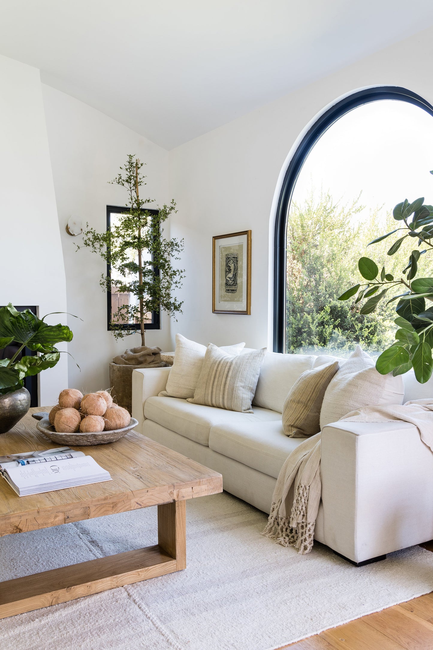 Muted stripe rug on the floor in a bright living room; cream sofa with beige cushions, arched window, rustic wooden coffee table, and lush green plants.