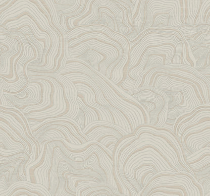 York Wallcoverings 24 Karat Geodes Taupe Wallpaper Eclectic Bohemian Whites and Off-Whites   - KT2164