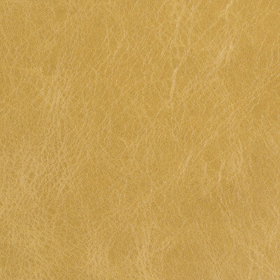 KRAVET BASICS LEATHER/SUEDE TEXTURE WHEAT,WHEAT,   - L-BEAUMONT.SAP.0