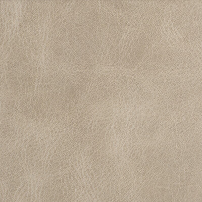 KRAVET COUTURE LEATHER/SUEDE TEXTURE LIGHT GREY,LIGHT GREY,   - L-BERN.FLAX.0