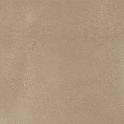 KRAVET COUTURE LEATHER/SUEDE TEXTURE TAUPE,TAUPE,   - L-BROCKWAY.PUTTY.0