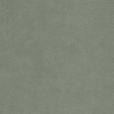 KRAVET DESIGN LEATHER/SUEDE  GREY,GREY,   - L-CIMARRON.ELEPHANT.0