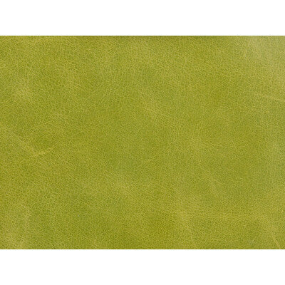 KRAVET COUTURE LEATHER/SUEDE TEXTURE GREEN,GREEN,   - L-HAUTE.CHARTREUSE.0