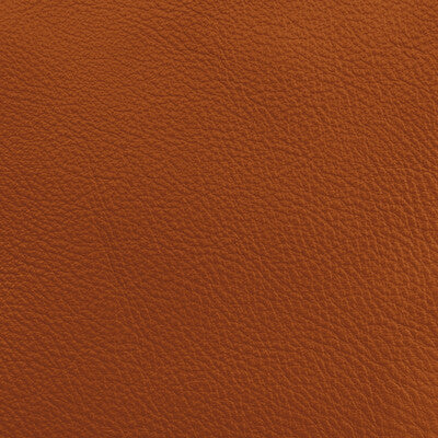 DONGHIA LEATHER/SUEDE SOLID ORANGE,RUST,   - L6021108.ADOBE.0