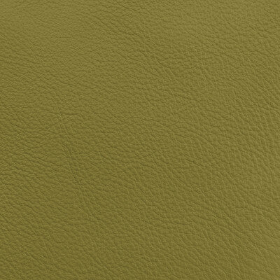 DONGHIA LEATHER/SUEDE SOLID GREEN,LIGHT GREEN,SAGE   - L6021108.CACTUS.0