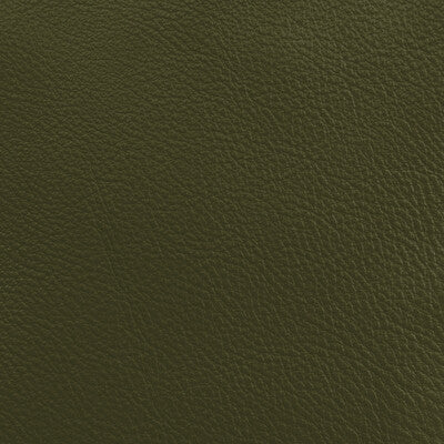 DONGHIA LEATHER/SUEDE SOLID GREEN,GREEN,   - L6021108.LICHEN.0