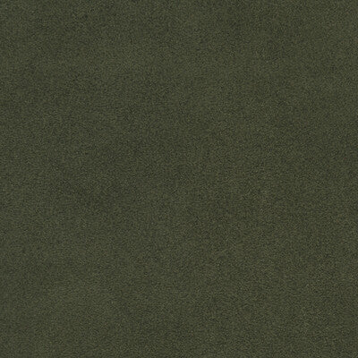 DONGHIA LEATHER/SUEDE SOLID GREEN,,   - L6021110.LICHEN.0