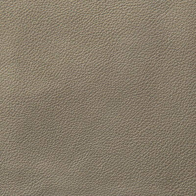 DONGHIA LEATHER/SUEDE SOLID TAUPE,NEUTRAL,   - L6021112.PEBBLE.0