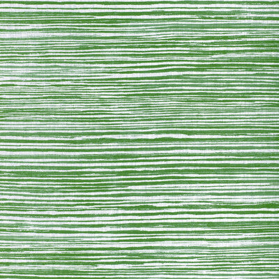 KRAVET BASICS PRINT STRIPES GREEN,WHITE,   - LANDLINES.53.0