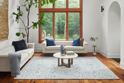 5' x 8' blue patterned rug in a bright living room.