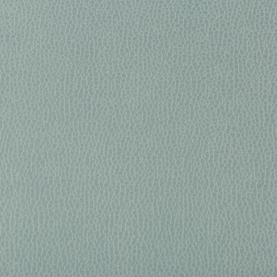 KRAVET CONTRACT VINYL/FAUX LEATHER TEXTURE SPA,SPA,   - LENOX.135.0