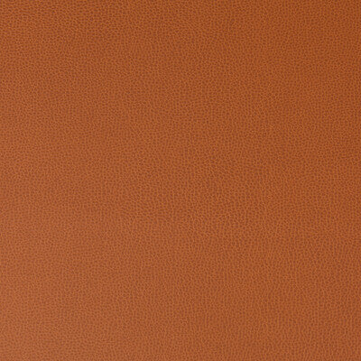 KRAVET CONTRACT VINYL/FAUX LEATHER TEXTURE RUST,RUST,   - LENOX.24.0