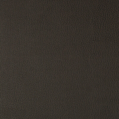 KRAVET CONTRACT VINYL/FAUX LEATHER TEXTURE ESPRESSO,ESPRESSO,   - LENOX.66.0