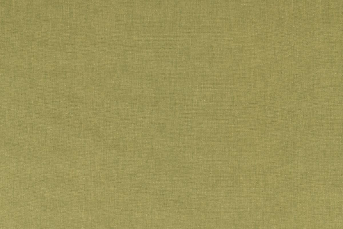 SCALAMANDRE OUTLET  FABRIC CANNES TOILE  FABRIC GREEN   - LE 00021368 NEW SKU # LE13680002