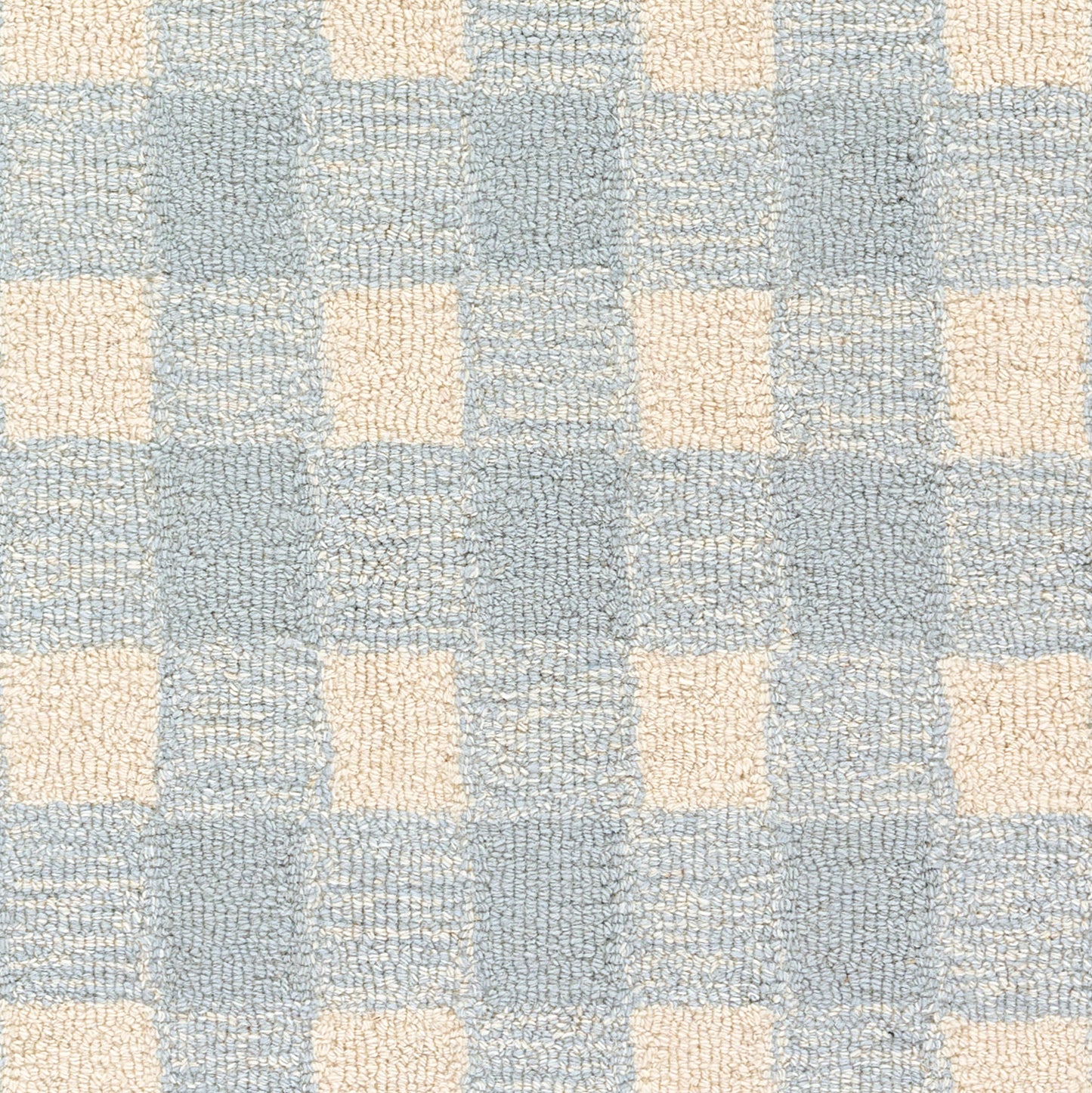 Blue & cream checker-pattern rug with soft looped-pile texture; 5' x 8' rug.
