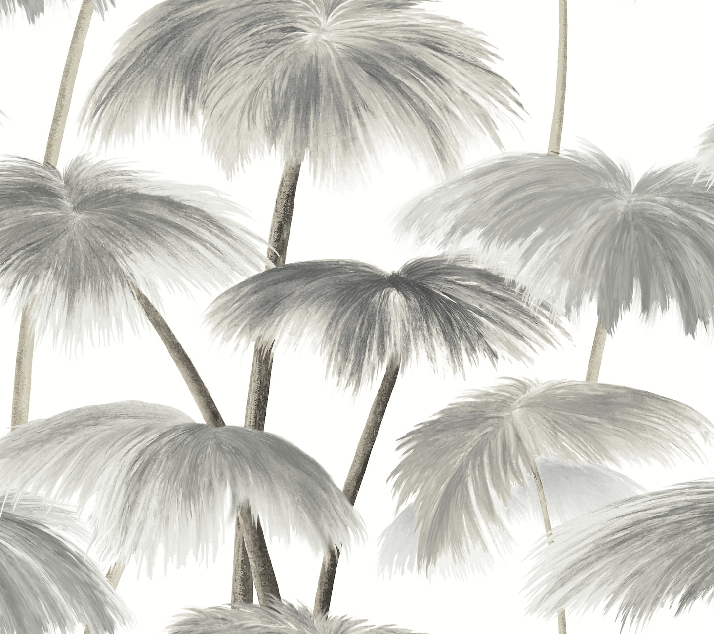 York Wallcoverings Best Sellers Plein Air Palms Black and White Wallpaper Tropical Tropical Greys   - LM5432