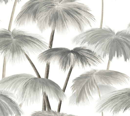 York Wallcoverings Best Sellers Plein Air Palms Black and White Wallpaper Tropical Tropical Greys   - LM5432