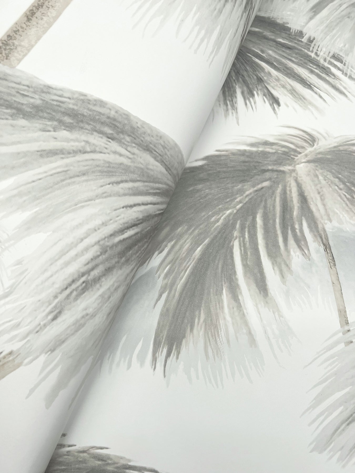 York Wallcoverings Best Sellers Plein Air Palms Black and White Wallpaper Tropical Tropical Greys   - LM5432