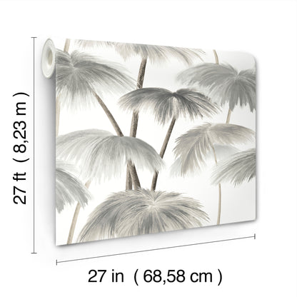 York Wallcoverings Best Sellers Plein Air Palms Black and White Wallpaper Tropical Tropical Greys   - LM5432