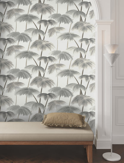 York Wallcoverings Best Sellers Plein Air Palms Black and White Wallpaper Tropical Tropical Greys   - LM5432