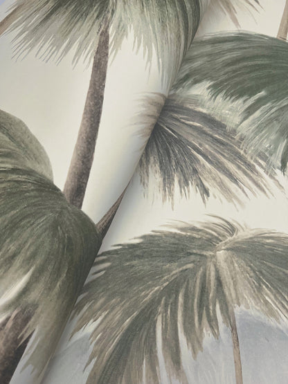 York Wallcoverings Best Sellers Plein Air Palms Vintage Wallpaper Tropical Tropical Beiges   - LM5433
