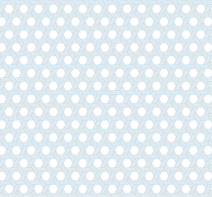 Lillian August Luxe Retreat Cabana Wicker Wicker Coastal Blue Matte  - LN10202