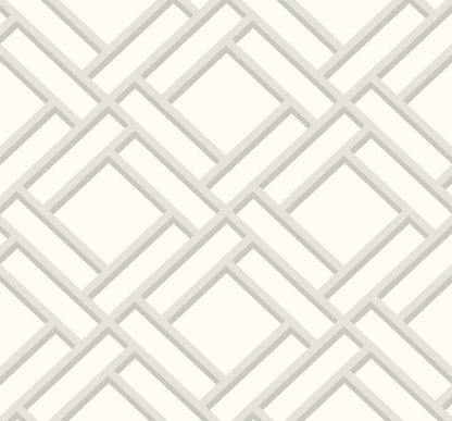 Lillian August Luxe Retreat Block Trellis Geometric Coastal Silver Metallic  - LN11500