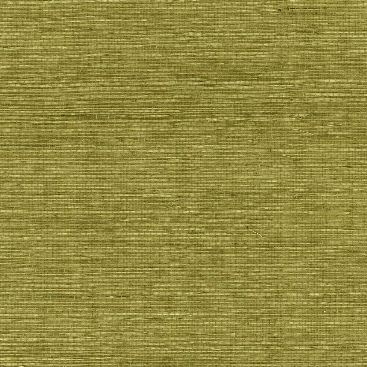 Lillian August Luxe Retreat Sisal Grasscloth Grasscloth Coastal Green Satin Sidewall - LN11804