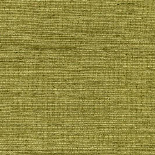 Lillian August Luxe Retreat Sisal Grasscloth Grasscloth Coastal Green Satin Sidewall - LN11804