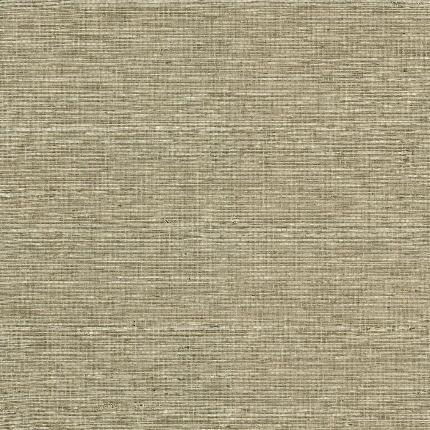 Lillian August Lillian August Grasscloth Binder Sisal Grasscloth Contemporary Beige Satin  - LN11805
