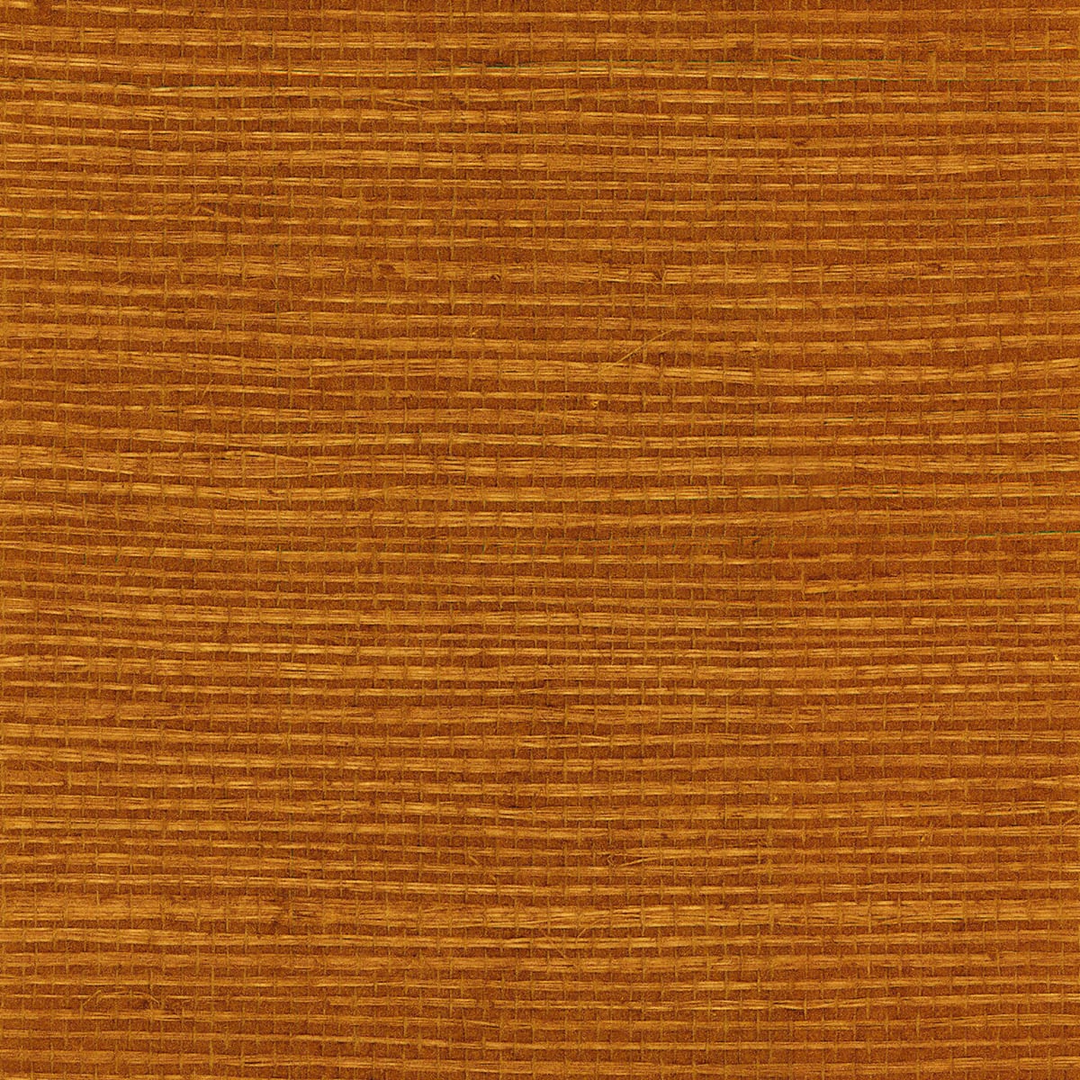 Lillian August Luxe Retreat Sisal Grasscloth Grasscloth Coastal Gold Shimmer Sidewall - LN11806