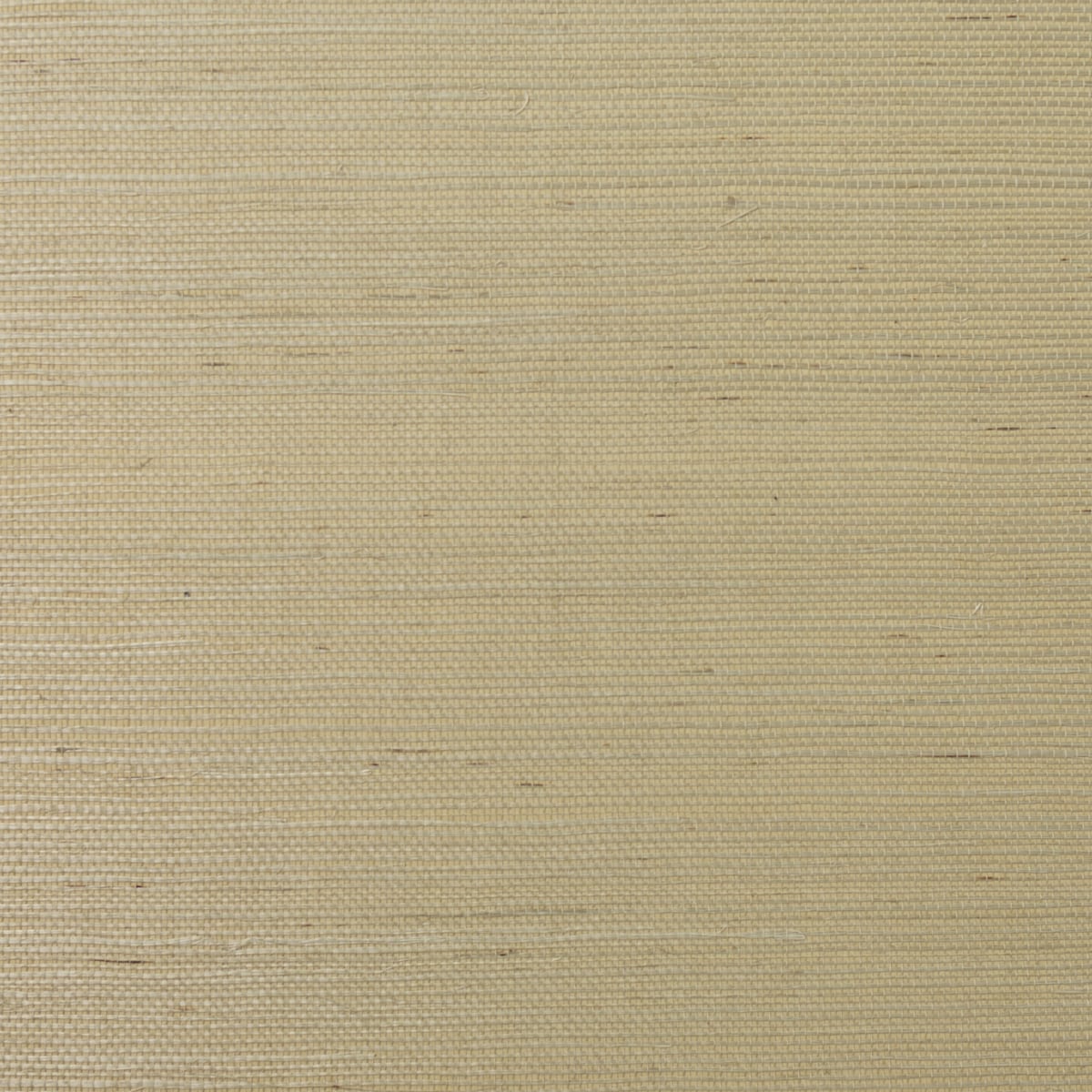 Lillian August Lillian August Grasscloth Binder Sisal Grasscloth Contemporary Beige Satin Sidewall - LN11817