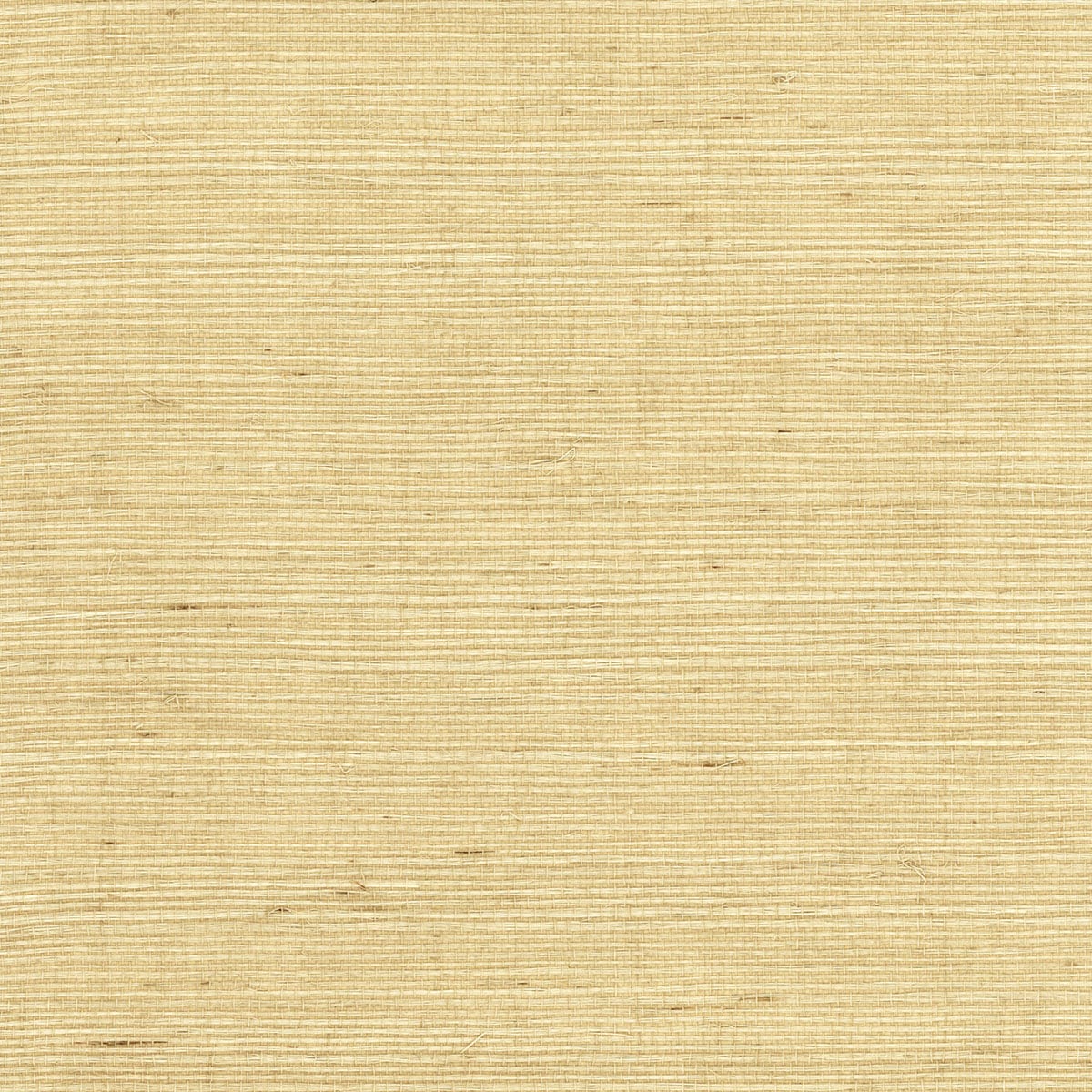 Lillian August Lillian August Grasscloth Binder Sisal Grasscloth Contemporary Beige Satin  - LN11817
