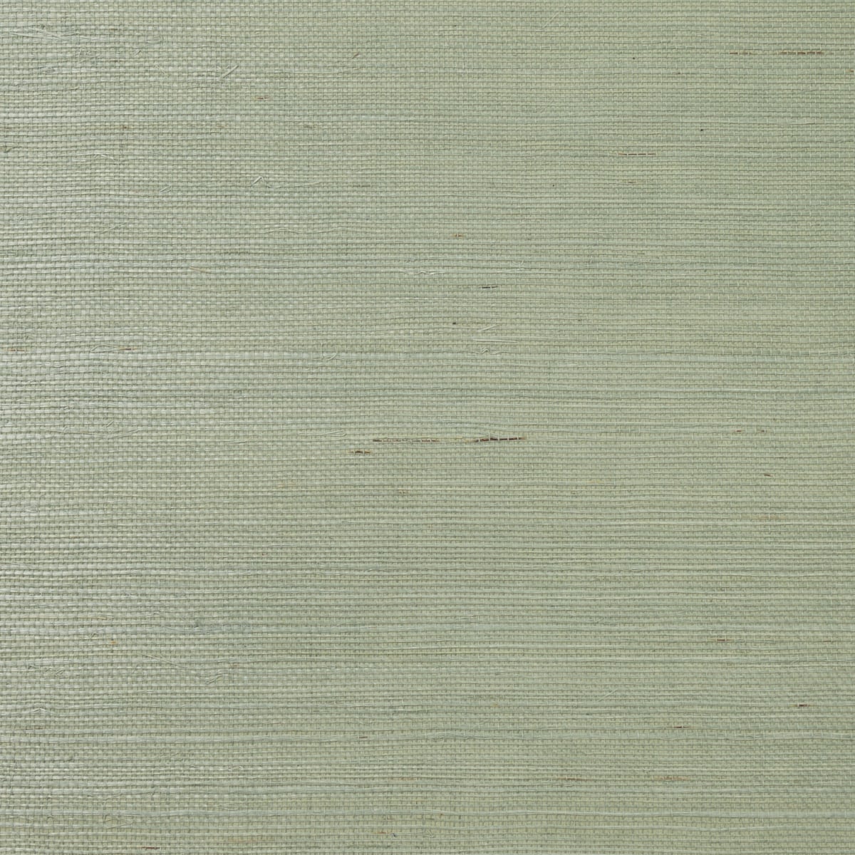 Lillian August Lillian August Grasscloth Binder Sisal Grasscloth Contemporary Green Satin Sidewall - LN11824