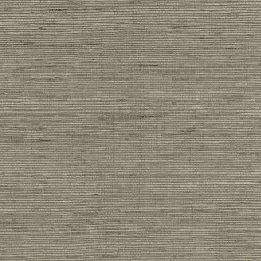 Lillian August Luxe Retreat Sisal Grasscloth Grasscloth Coastal Beige Satin Sidewall - LN11825