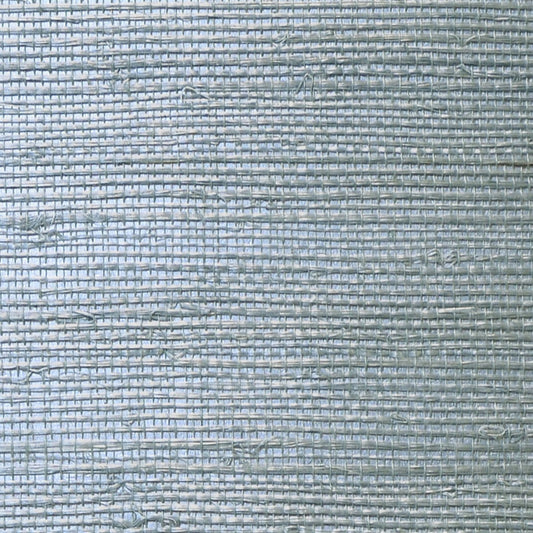 Lillian August Lillian August Grasscloth Binder Sisal Grasscloth Contemporary Blue Metallic  - LN11827